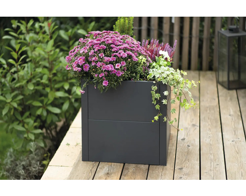 Metalen plantenbak met seizoensbeplanting op een terras