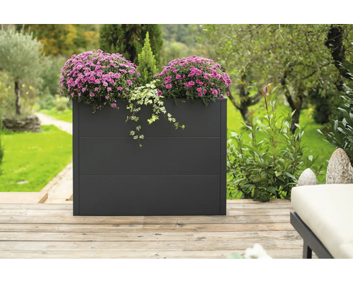 Rechthoekige metalen plantenbak met paarse bloemen in de tuin