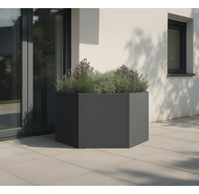 Grijze, zeshoekige plantenbak met beplanting voor een gebouw