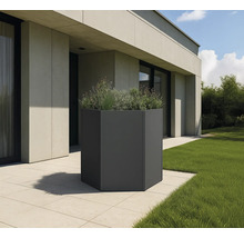 Zeshoekige plantenbak op een terras met gazon