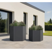 Twee zeshoekige plantenbakken met beplanting in de tuin.