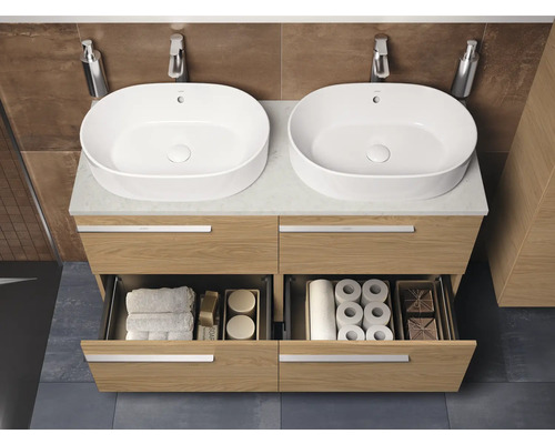 Badkamer met wastafelonderkast, twee opzetwastafels, kranen, zeepdispenser, handdoeken en toiletpapier