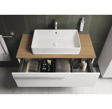 Wastafelmeubel met waskom, lade en plank in de badkamer