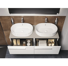 Dubbele wastafel met twee waskommen en open lades in een moderne badkamer