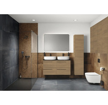 Moderne badkamer met douche, wastafelmeubel met twee wastafels, spiegel en toilet.