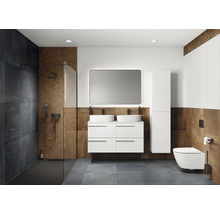 Moderne badkamer met douche, wastafel met dubbele wasbak, spiegel, hoge kast en toilet.