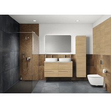 Moderne badkamer met douche, wastafelmeubel met dubbele wastafel, spiegel en toilet.