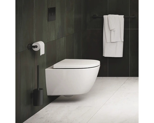 Badkamer met wandhangend toilet, toiletpapierhouder, borstelgarnituur en handdoekhouder