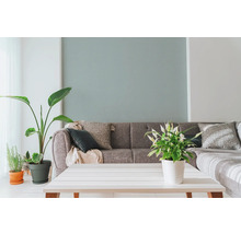 Woonkamer met grijze bank, sierkussens, kamerplanten en witte tafel