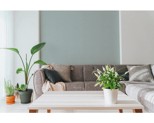 Woonkamer met grijze bank, sierkussens, kamerplanten en witte tafel