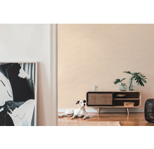 Woonkamer met houten kast, decoratie, kunstwerk en een hond op een tapijt.