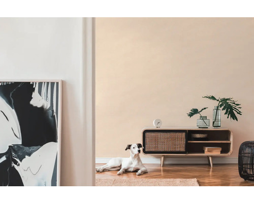 Woonkamer met houten kast, decoratie, kunstwerk en een hond op een tapijt.