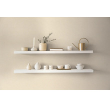 Twee witte planken met decoratieve objecten aan de muur.