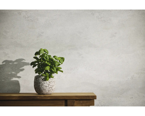 Basilicumplant in pot op een houten tafel