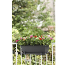 Bloembak met geraniums op het balkonhek