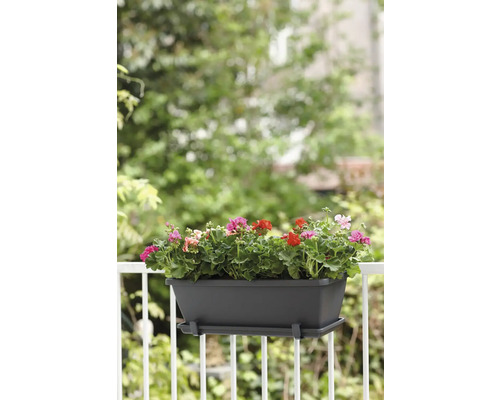 Bloembak met geraniums op het balkonhek