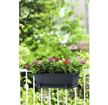 Bloembak met geraniums op een balkonreling