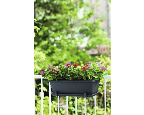 Bloembak met geraniums op een balkonreling