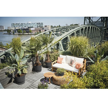 Dakterras met houten vloer, bank met kussens, tafels en planten voor een stalen brug.