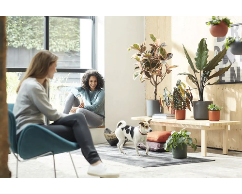 Lichte kamer met twee vrouwen, een hond en kamerplanten op een houten bank