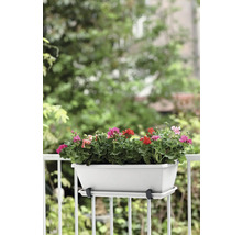 Bloembak met geraniums op een balkonreling