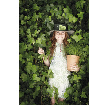 Meisje met hoed en plant in pot, omringd door klimop