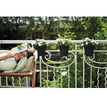 Vrouw ontspant met een boek op een bank op het balkon met bloembakken