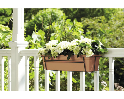 Bloembak met beugel aan een reling beplant met hortensia's