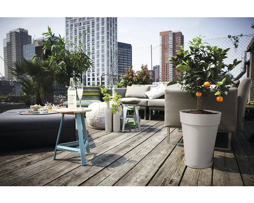 Dakterras met lounge meubilair, bijzettafel, plantenbak en citrusboom voor skyline