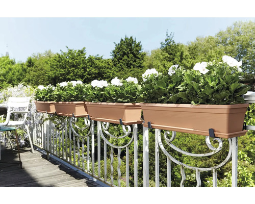 Rij bloembakken met witte geraniums, bevestigd aan een sierlijk balkonhek.