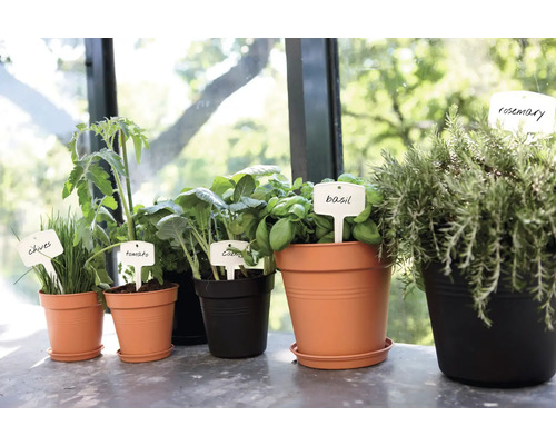 Diverse kruiden en groenten zoals bieslook, tomaat, kool, basilicum en rozemarijn in potten met plantenlabels