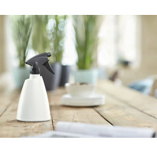 Plantenspuit op een houten tafel