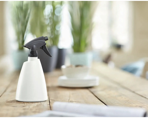 Plantenspuit op een houten tafel