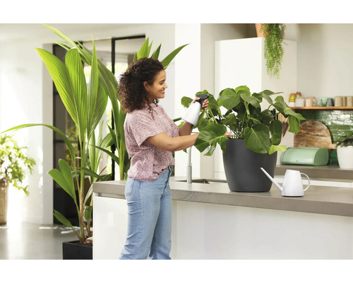 Vrouw sproeit kamerplant met plantenspuit in keuken