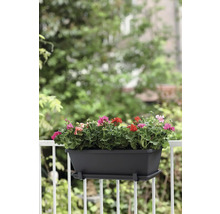 Balkonbak met kleurrijke geraniums op een balkonreling