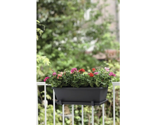 Balkonbak met kleurrijke geraniums op een balkonreling