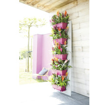 Verticale tuin met roze plantenbakken en bloeiende bromelia's aan een houten wand op een terras.