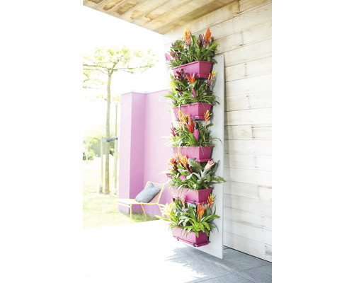 Verticale tuin met roze plantenbakken en bloeiende bromelia's aan een houten wand op een terras.