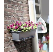 Grijze bloembak met paarse bloemen aan een bakstenen muur