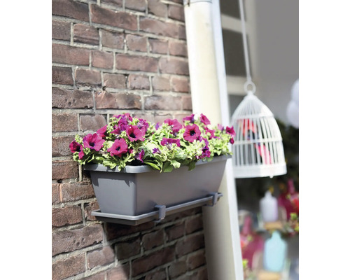 Grijze bloembak met paarse bloemen aan een bakstenen muur