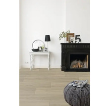 Lichte, vriendelijke inrichting met open haard, tafel, lamp en zitkussen.