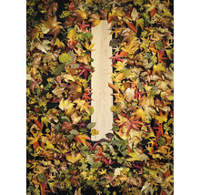 Houten plank omgeven door herfstbladeren