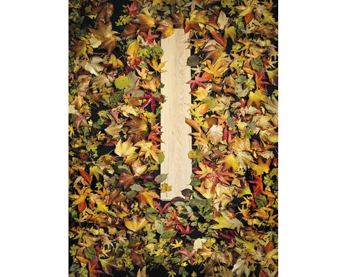 Houten plank omgeven door herfstbladeren