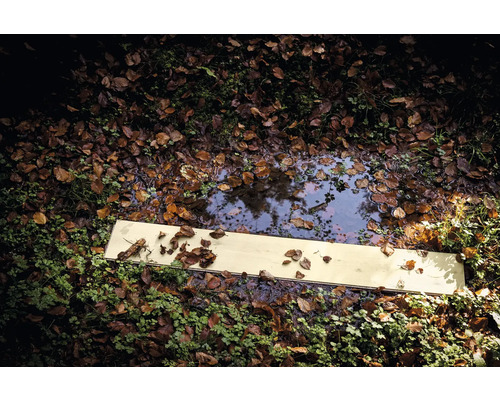 Een plank ligt op de grond naast een plas water, bedekt met bladeren.