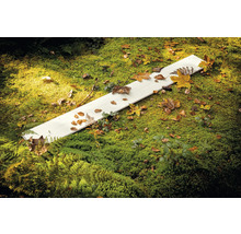 Een witte houten plank ligt op groen mos, bedekt met herfstbladeren.