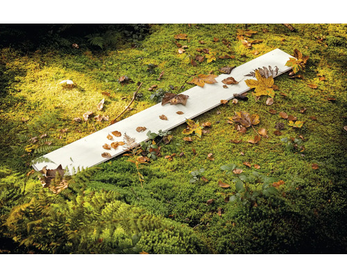 Een witte houten plank ligt op groen mos, bedekt met herfstbladeren.