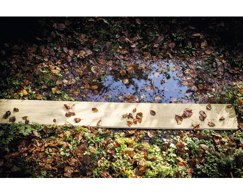 Waterplas met bladeren en een houten plank