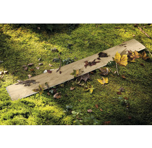 Houten plank op mos met bladeren