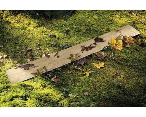 Houten plank op mos met bladeren