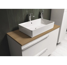 Badkamermeubel met waskom en onderkast